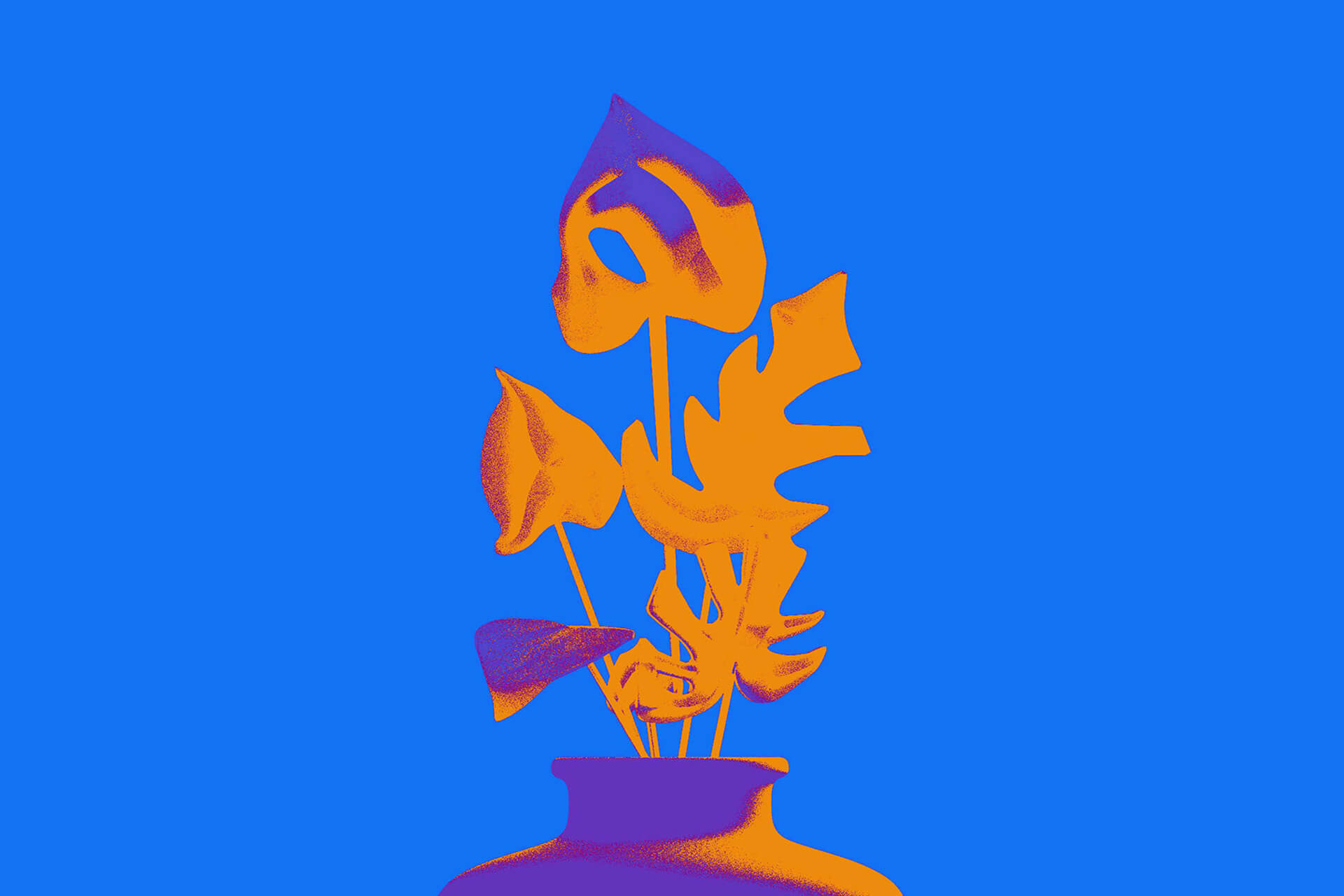Folium